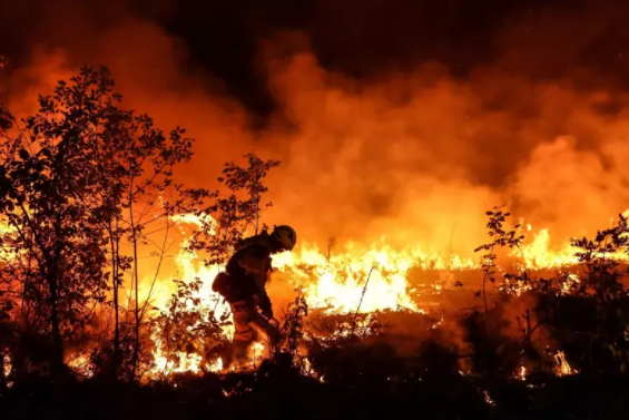 温哥华下周飙35度未来14天恐滴雨不下!最热还在后面- 人在温哥华网VanPeople.com