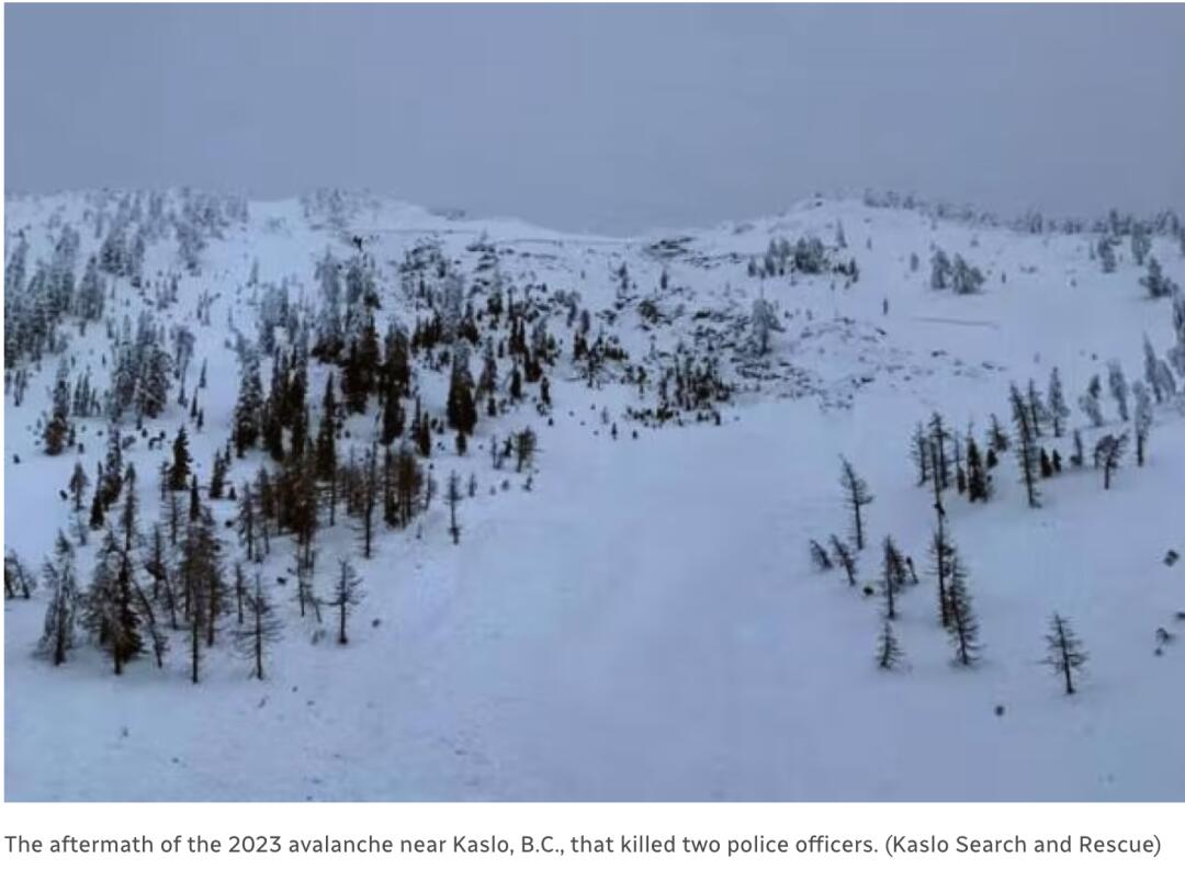惨剧！BC省突发雪崩：直升机滑雪者3死1重伤！飞行员紧急警报- 人在温哥华网VanPeople.com